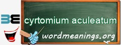 WordMeaning blackboard for cyrtomium aculeatum